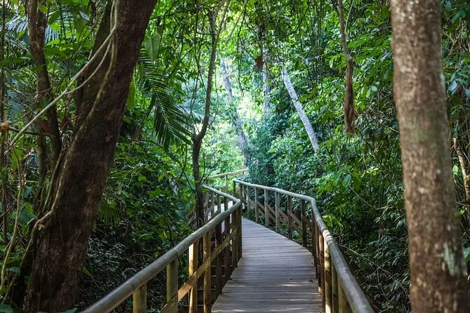 Boardwalk through the rainforest in Manuel Antonio National Park